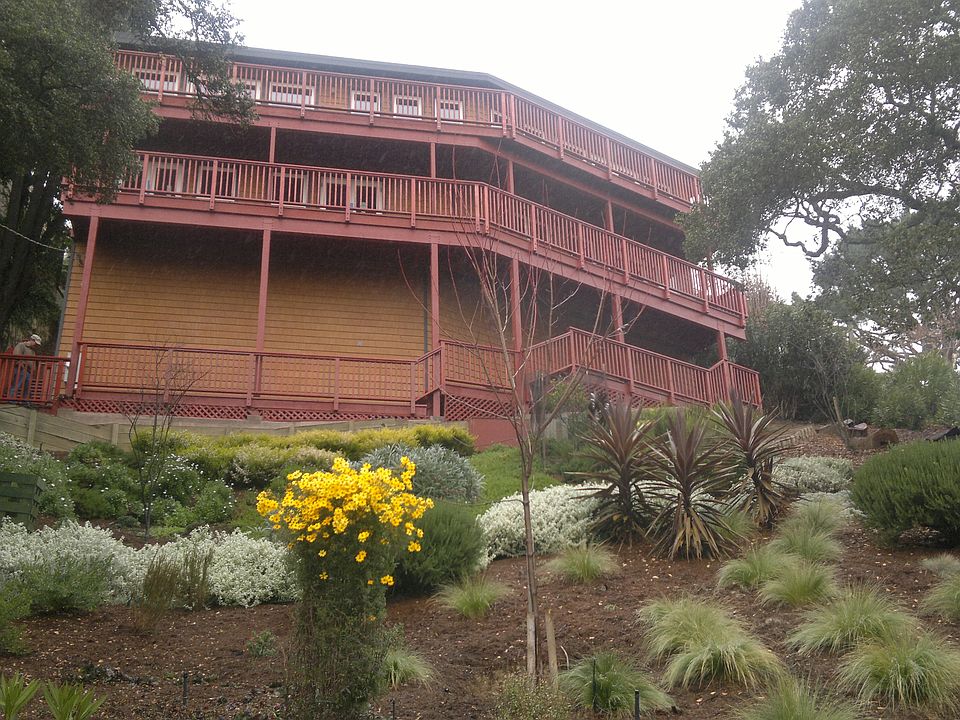 Southwest Facing
