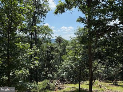 243 Bluffs On The Potomac, Romney, WV, 26757