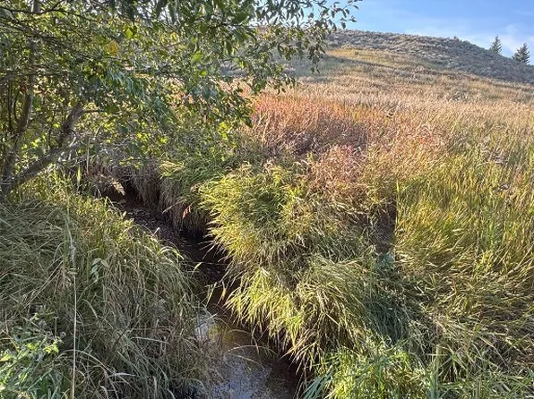 45 Mountainview Trl, White Sulphur Springs, MT 59645