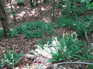 0 Elgie Ln, Arcadia, LA 71001