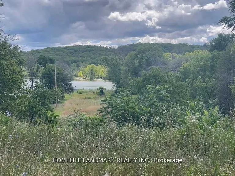 1355 County Road 45 — Photo 4