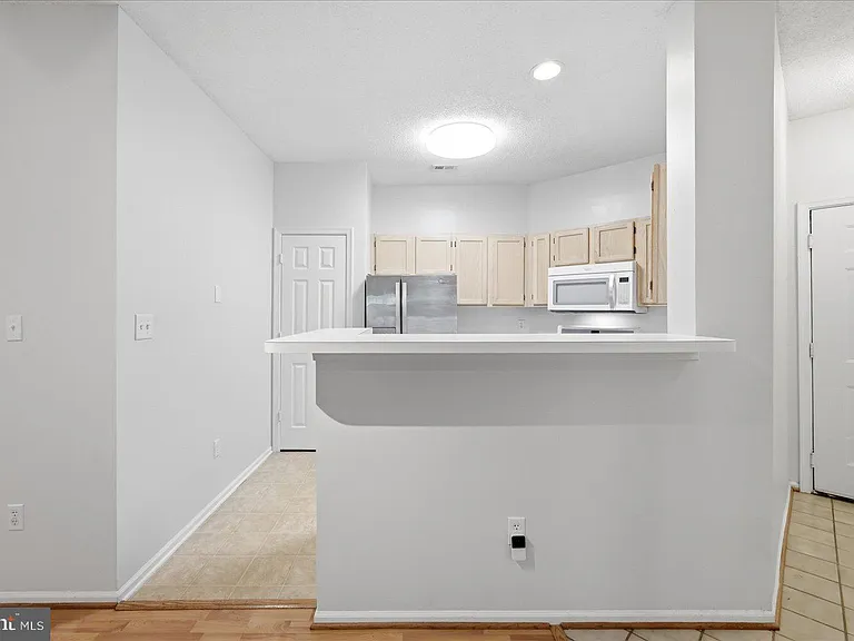 14316 Climbing Rose Way #102 — Photo 9