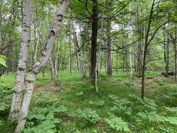 LOT 5 Riverview Dr #6, Saint Germain, WI 54558