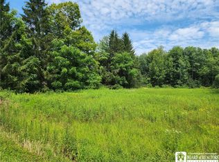 0 School St #38, Findley Lake, NY 14736