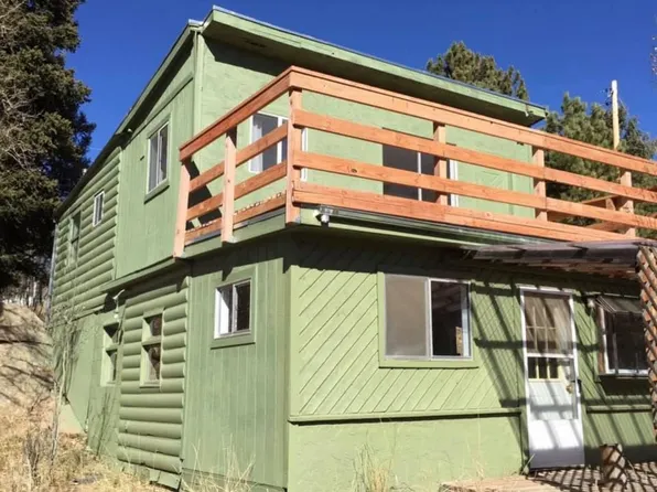 125 E Daisy St, Woodland Park, CO 80863