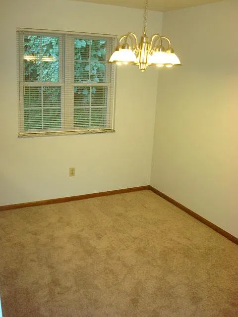 1 bed, 1000 sqft, $925 — Photo 3