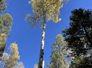 Santo Domingo Trl, Angel Fire, NM 87710