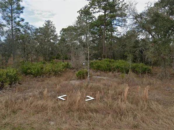 11353 Quill Ave Lot 16, Brooksville, FL 34614