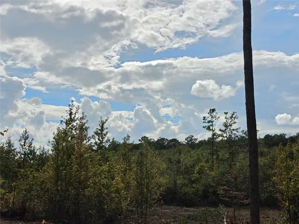 0 Victory Rd #8, Franklin, GA 30217