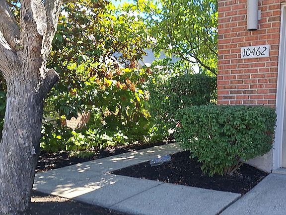 Garden area, green thumbs?