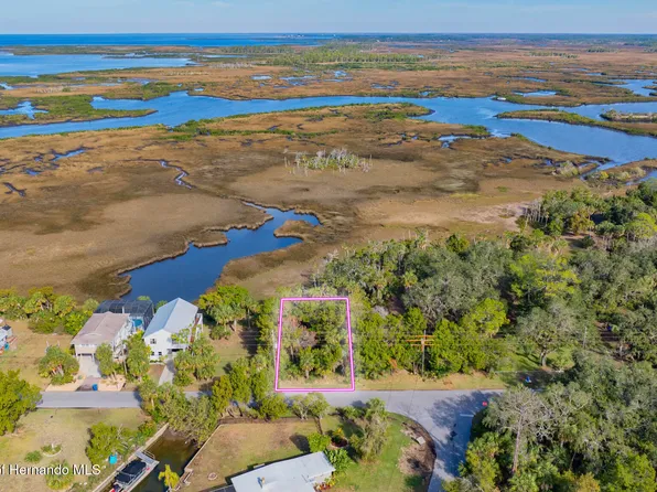 4041 Eagle Nest Dr, Spring Hill, FL 34607