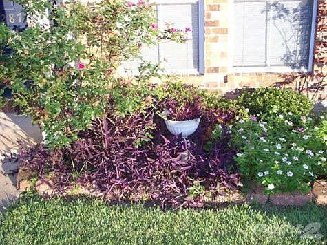 Front landscaping1