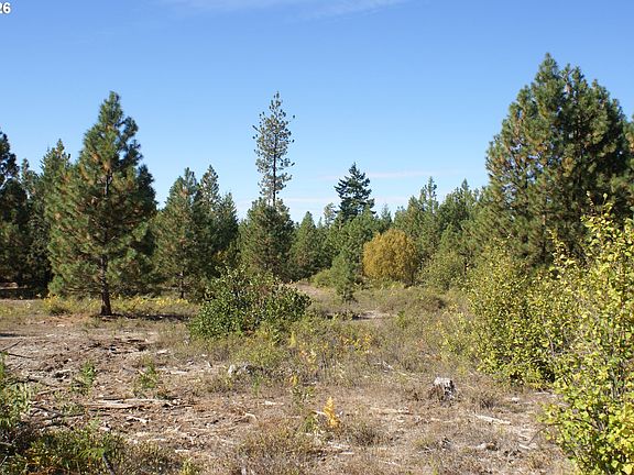 5th image of Cedar Valley Rd