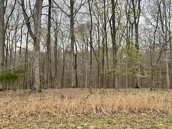 4th image of 1020 Ed Sanders Rd