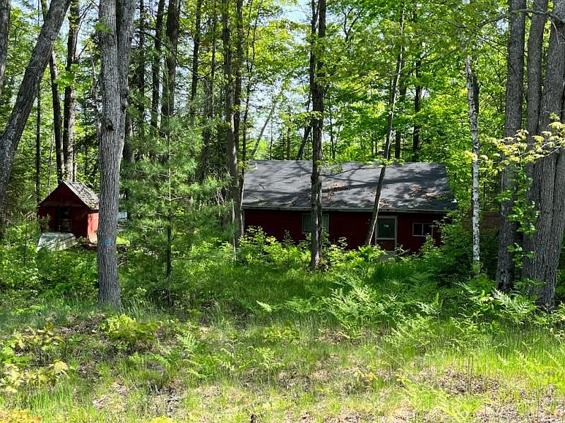 646 Kahn Dr, Mikado, MI 48745 Zillow