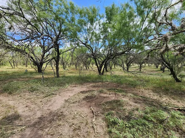 36 N Ridge Loop, Rio Frio, TX 78879