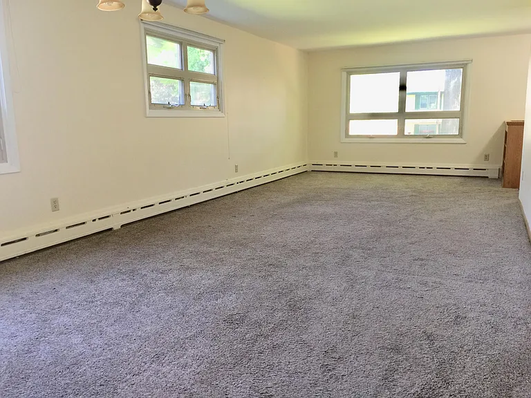 Bright living room with a lot of natural light