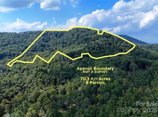 89 White Oak Gap Rd, Asheville, NC 28803