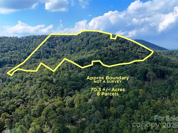 89 White Oak Gap Rd, Asheville, NC 28803