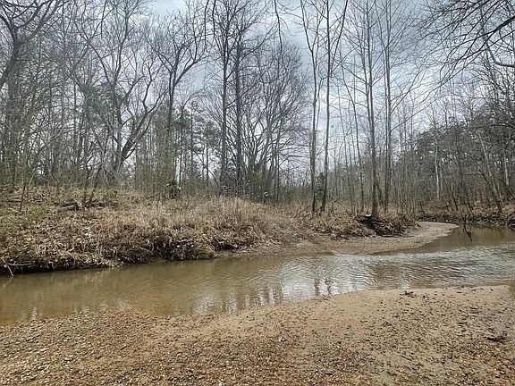 3rd image of 157 Eulogy Rd