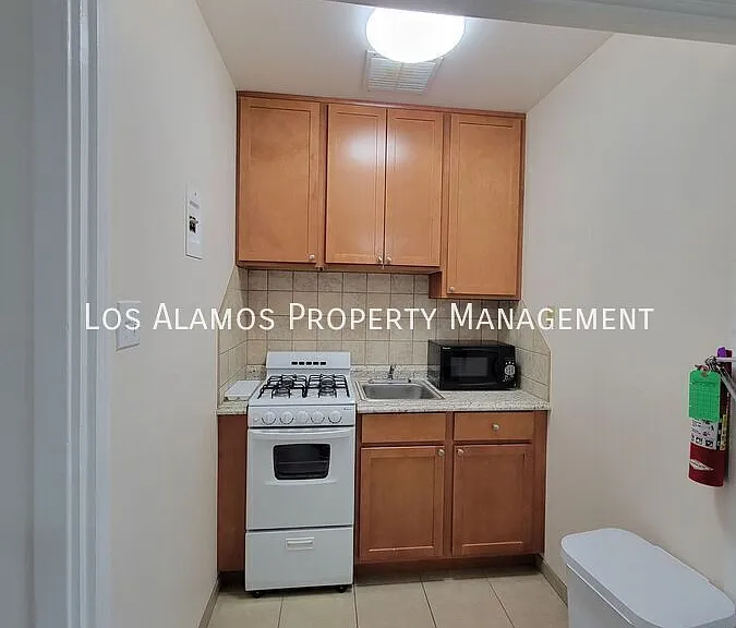 Aspen Studio Apartments 1 — Photo 12
