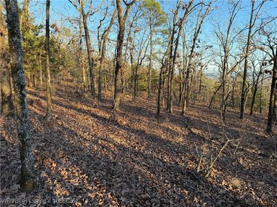 Ouachita National Frst, Danville, AR, 72833