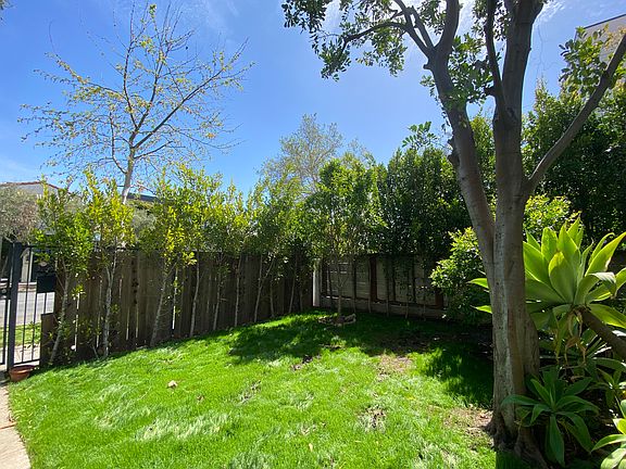 Gated front yard with seville orange tree.