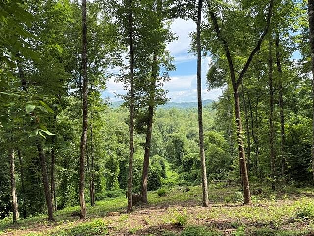 1st image of LOT 25 Bryson Rd