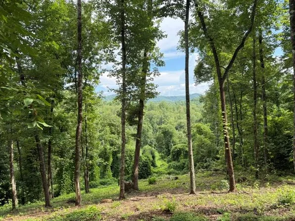 LOT 25 Bryson Rd, Murphy, NC 28906