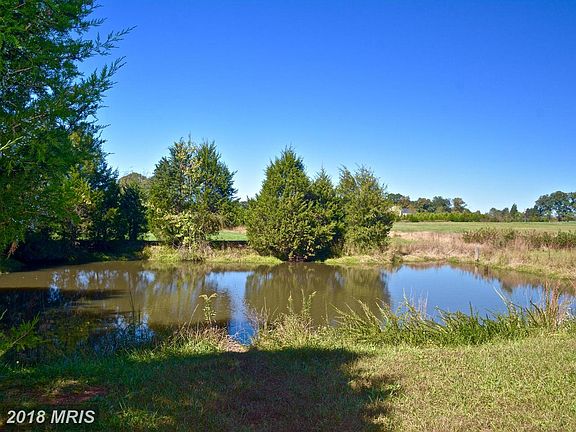 5th image of 14945 Deepwood Ln