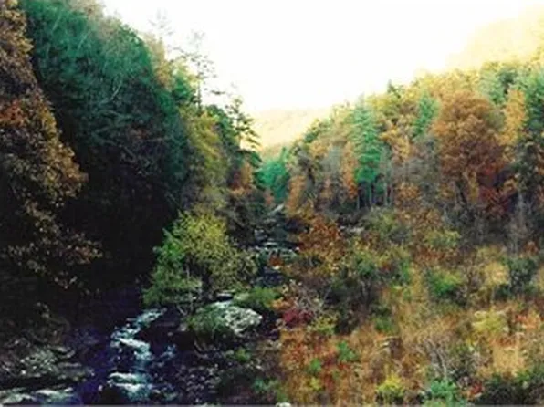 Potters Chapel Rd, Lancing, TN 37770