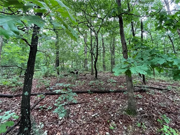 3 Dunstable Dr #3, Bella Vista, AR 72714