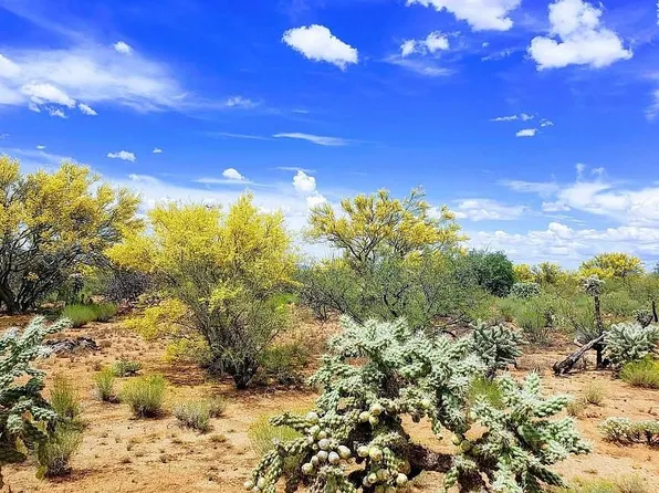 15949 S Shaw Rd, Pima County, AZ 85736