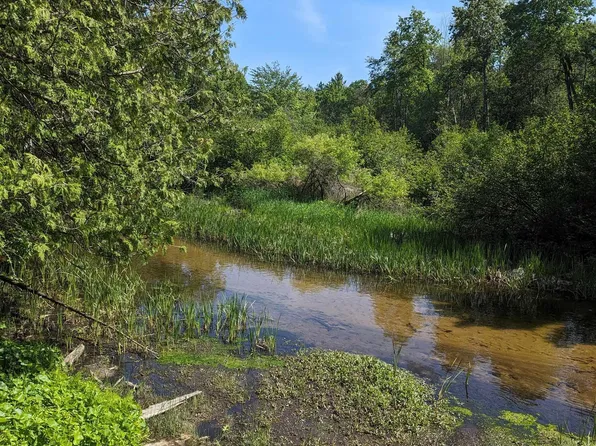 9621 W Lotan Rd, Lake City, MI 49651