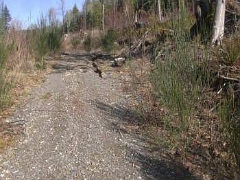 2nd image of 5696 Lind Rd