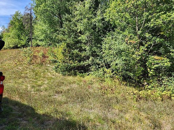 5th image of On COUNTY ROAD K Lot 8