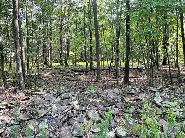 Karlau Road, Other, NY 12157