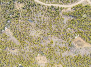 144 Crescent Rd, Fairplay, CO 80440