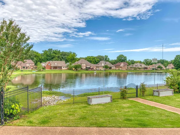 4829 Valley Birch Dr, Arlington, TN 38002