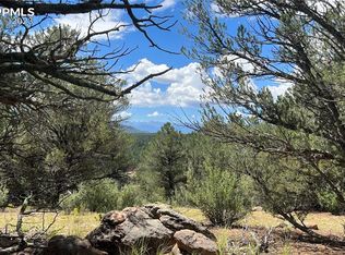 180 Shoshone Trl, Westcliffe, CO 81252