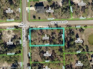 0 Flatwood Avenue, Weeki Wachee, FL 34613