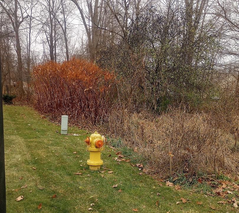2nd image of 4093 Libbie Dr