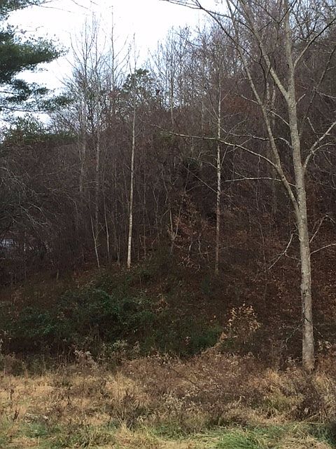 2nd image of N Coyote Springs Farm Rd