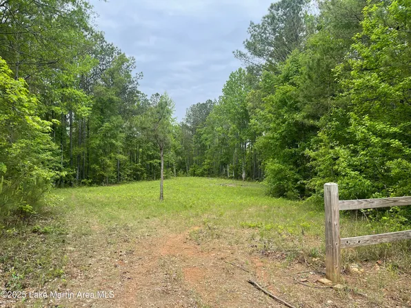 411 Lester Rd, Dadeville, AL 36853
