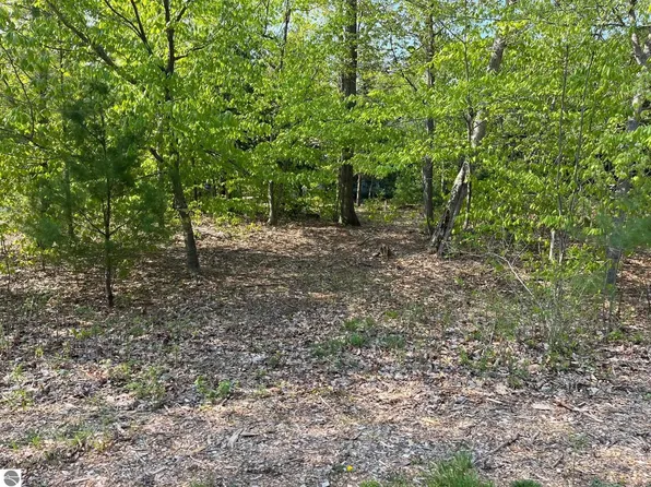13 Pine Trce, Glen Arbor, MI 49636
