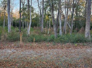 1872 Healing Water Ln SW, Supply, NC 28462