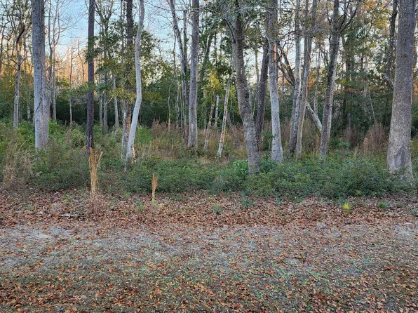 1872 Healing Water Lane SW, Supply, NC 28462