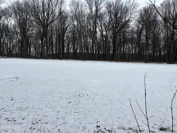 0 Sugar Maple Ln, Claysburg, PA 16625