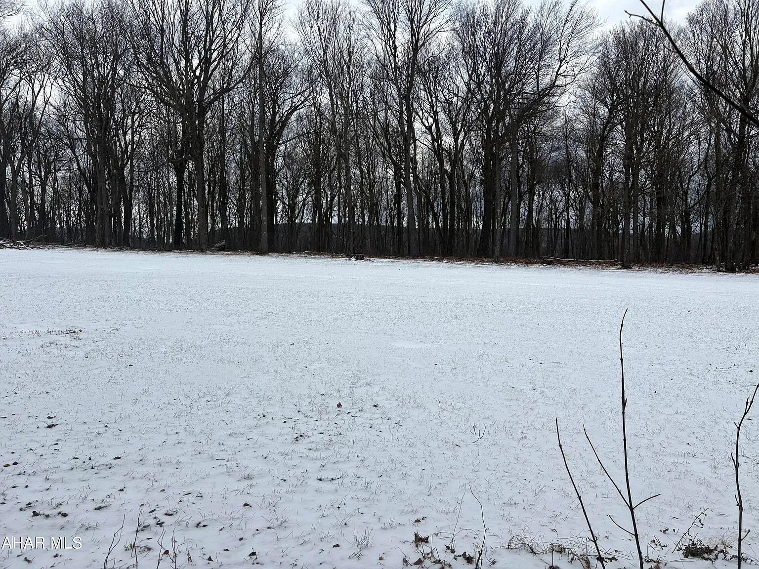 0 Sugar Maple Ln photo 1
