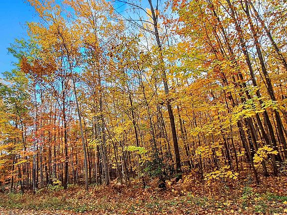 3rd image of Apple Hill Rd Lot Z